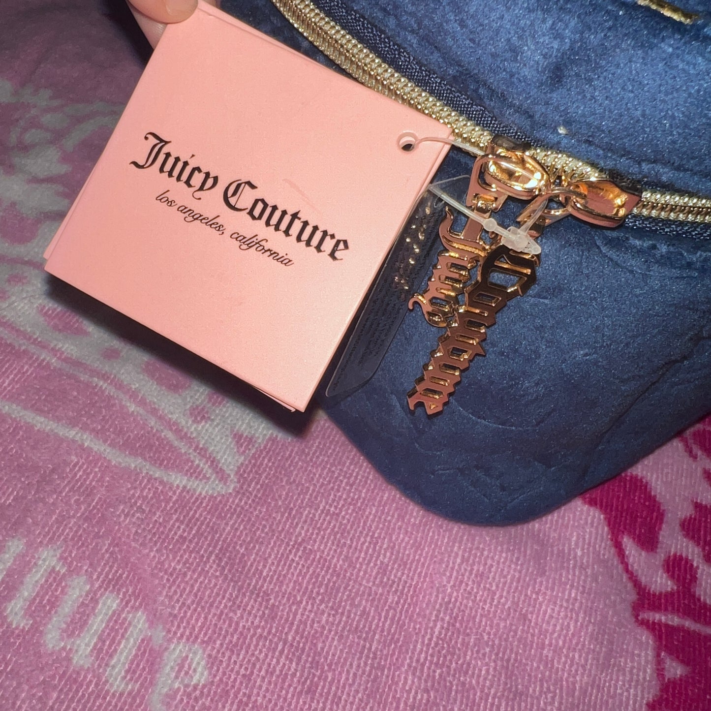 New Blue Juicy Couture Train Case Makeup Bag Velvet Cosmetic Purse